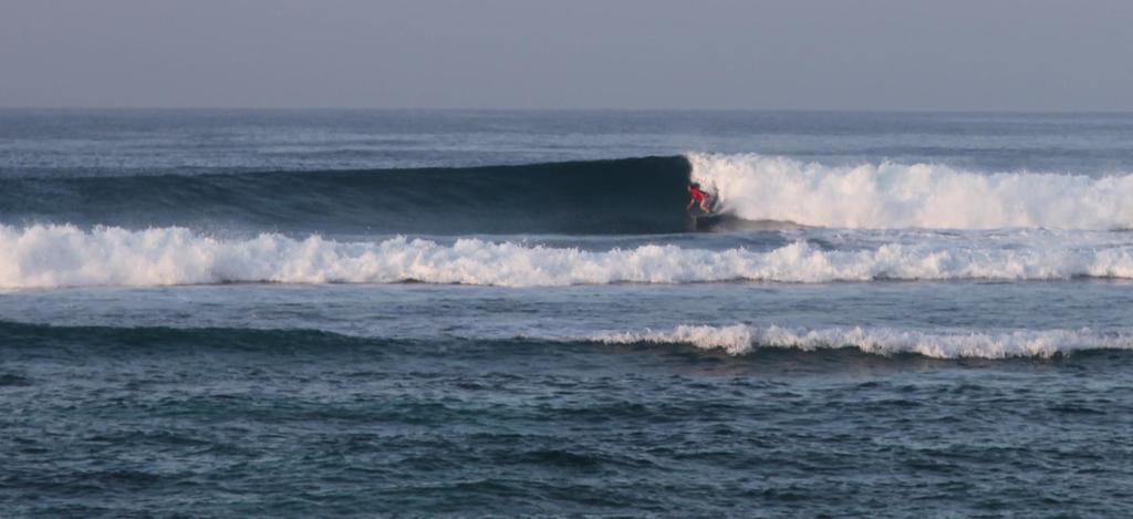 Villa Paz Bali Canggu Buitenkant foto
